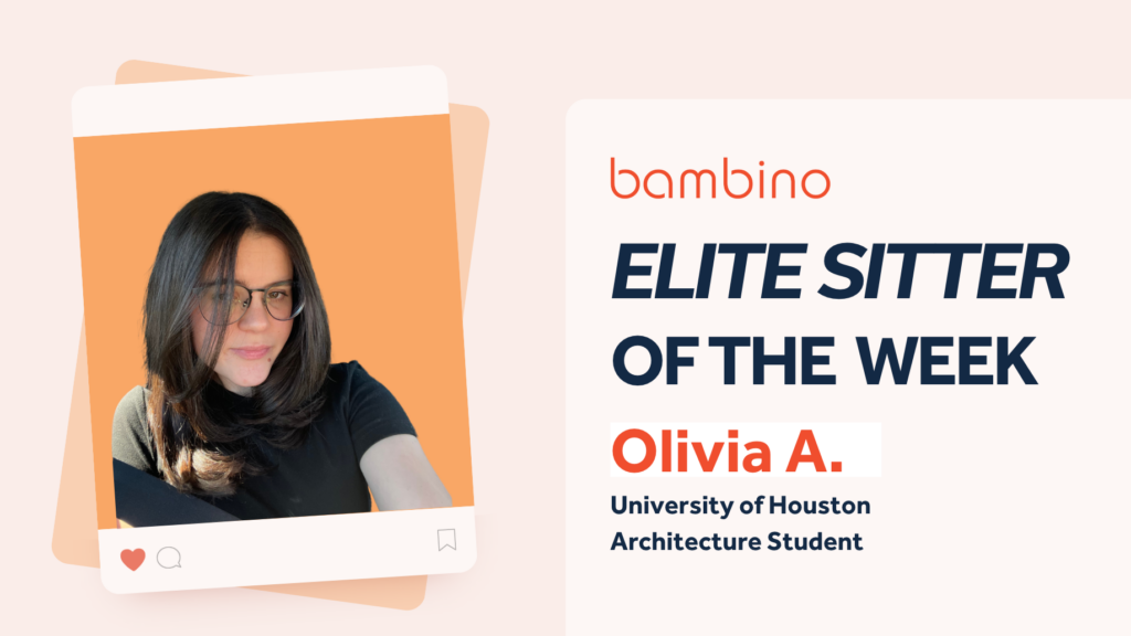 Houston Babysitter