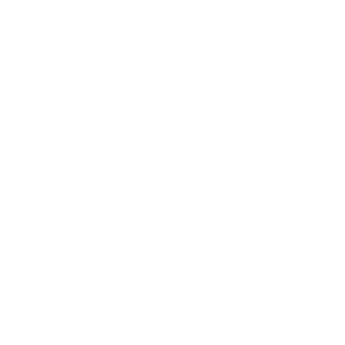 Safety icon